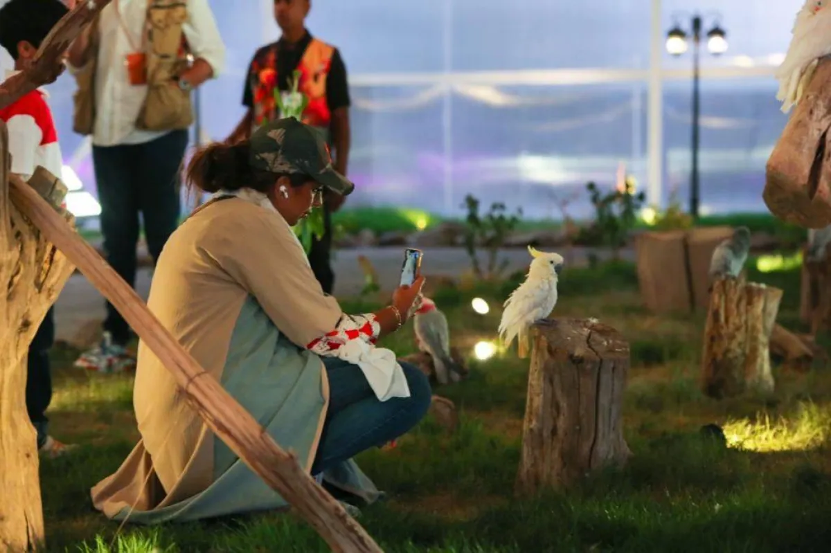 منطقة الطيور بجدة جنغل