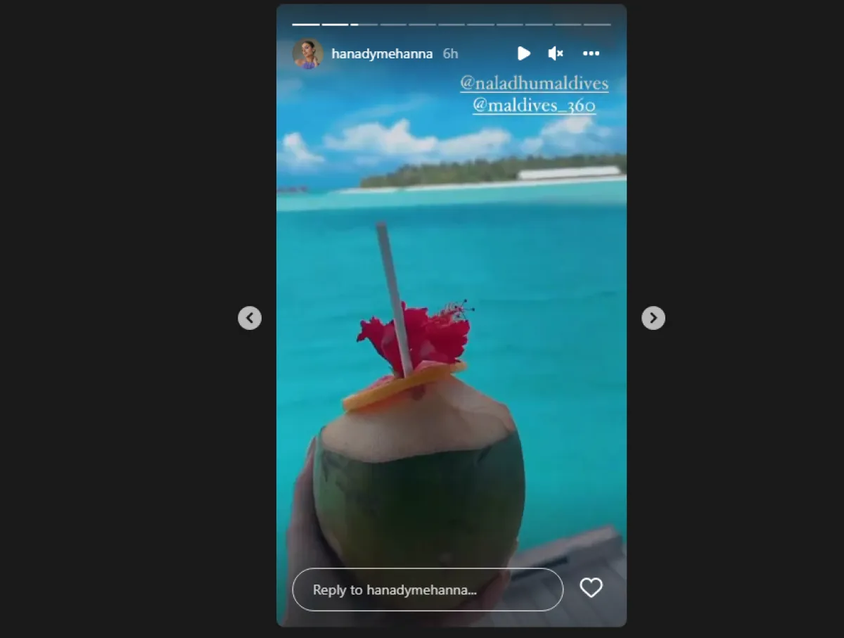 هنادي مهنا وزوجها أحمد خالد صالح- الصورة من حساب هنادي مهنا على إنستجرام