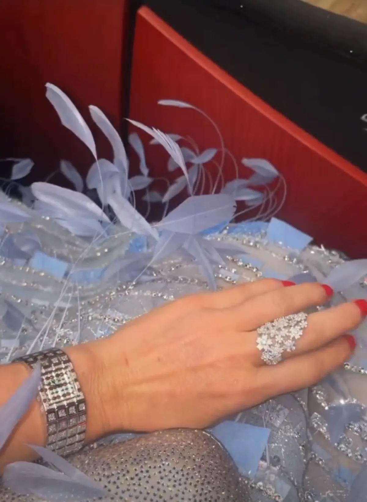 الصورة من قصص Hofit Golan على انستغرام