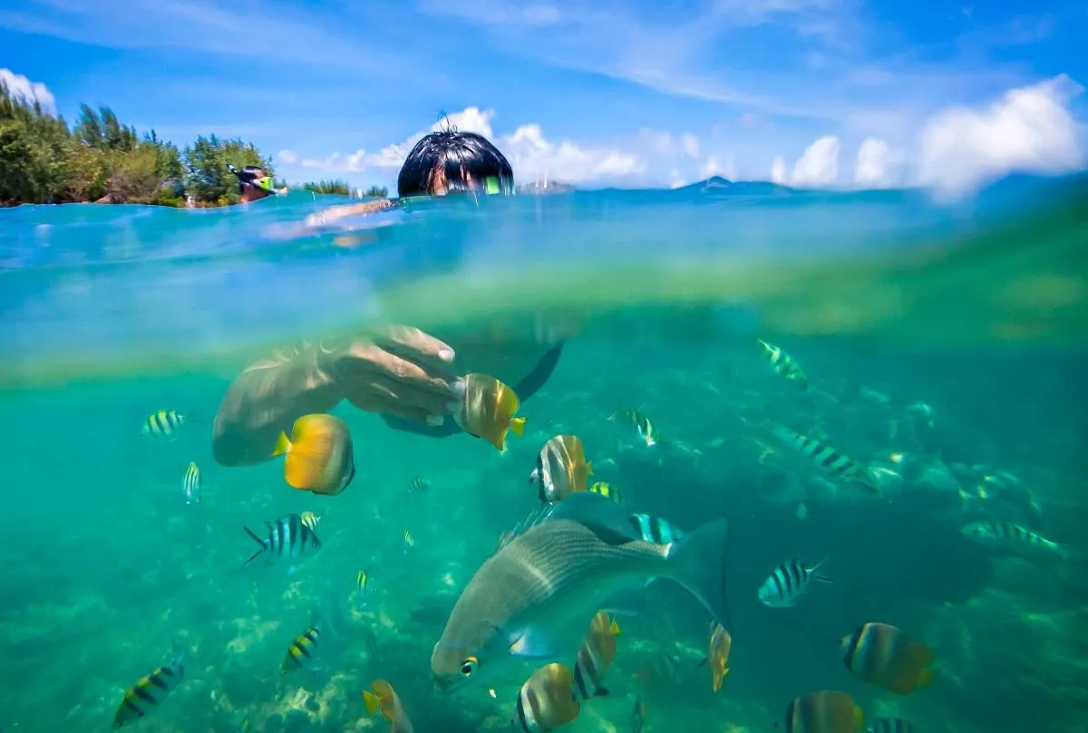 سائح يمارس رياضة الغوص الحرّ في مياه جزيرة "جيلي تراوانجان"