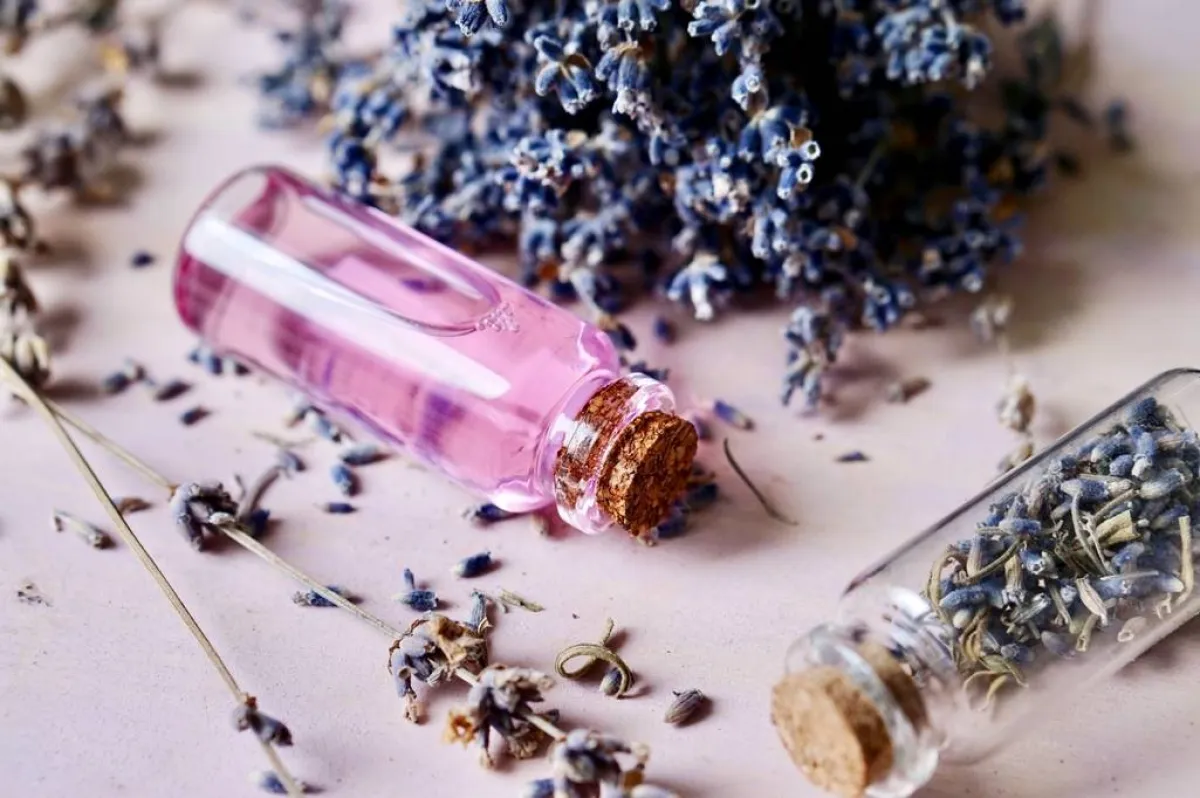 زيت اللافندر مُميّز برائحته