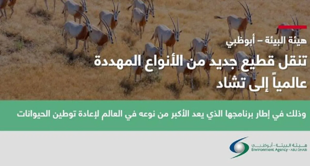 برنامج إعادة توطين الثدييات