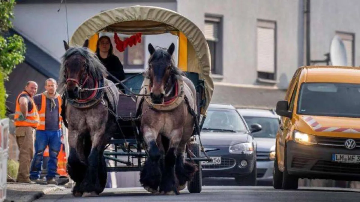 السيدة الألمانية وهي تقود عربتها 