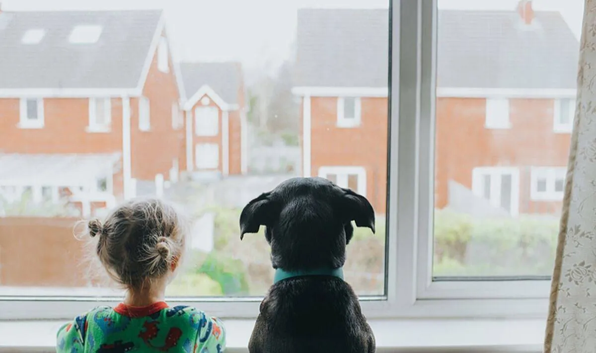 عضة كلب" تنقذ بريطانية عمرها عامان من الاختطاف 