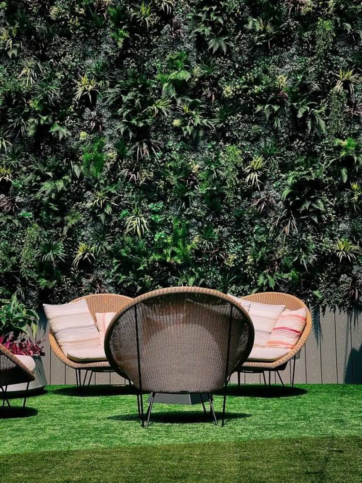 "جدار أخضر" في البلكونة