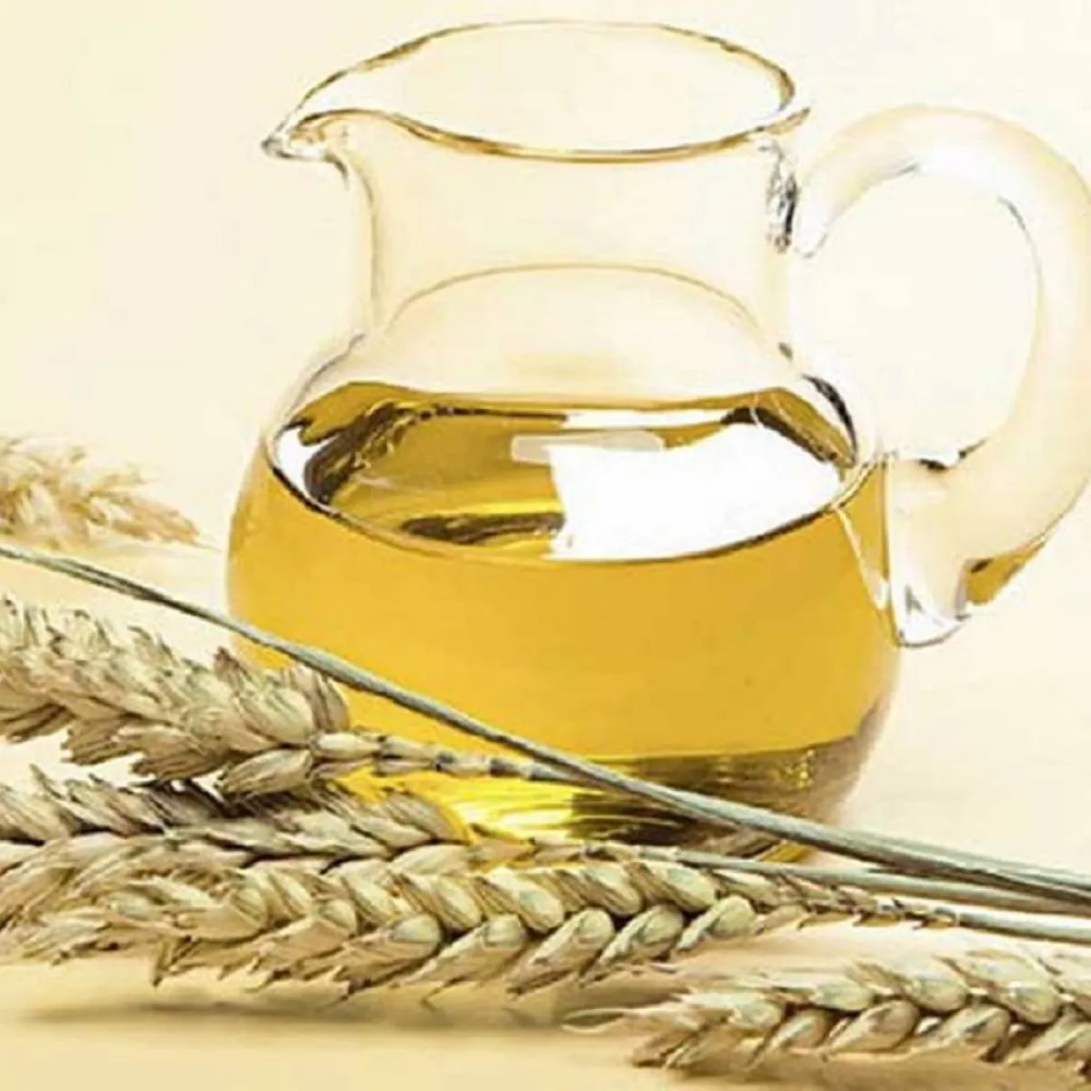 صورة لزيت جنين القمح