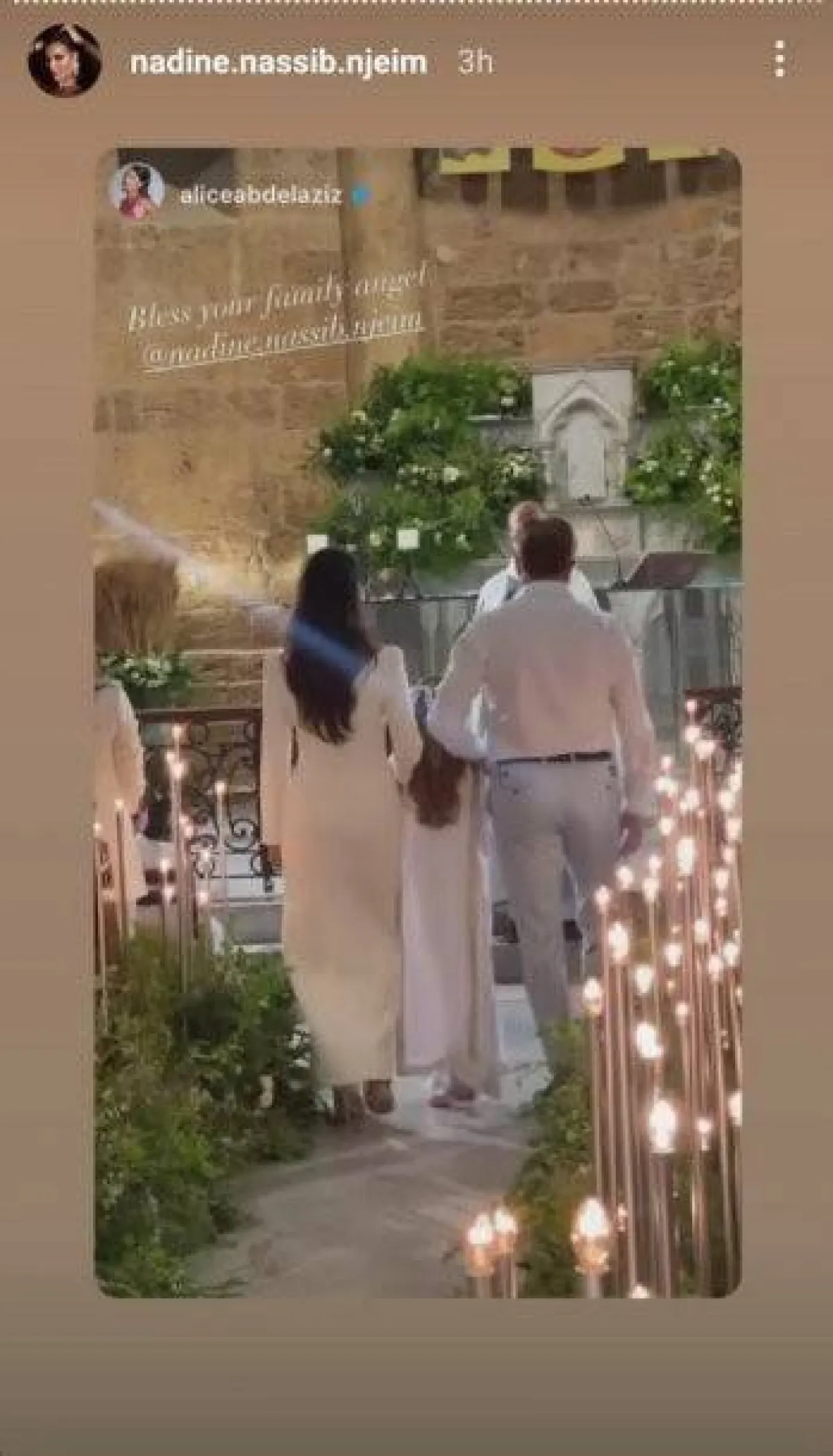 نادين نجيم وطليقها هادي أسمر- الصورة من ستوري حسابها على انستغرام