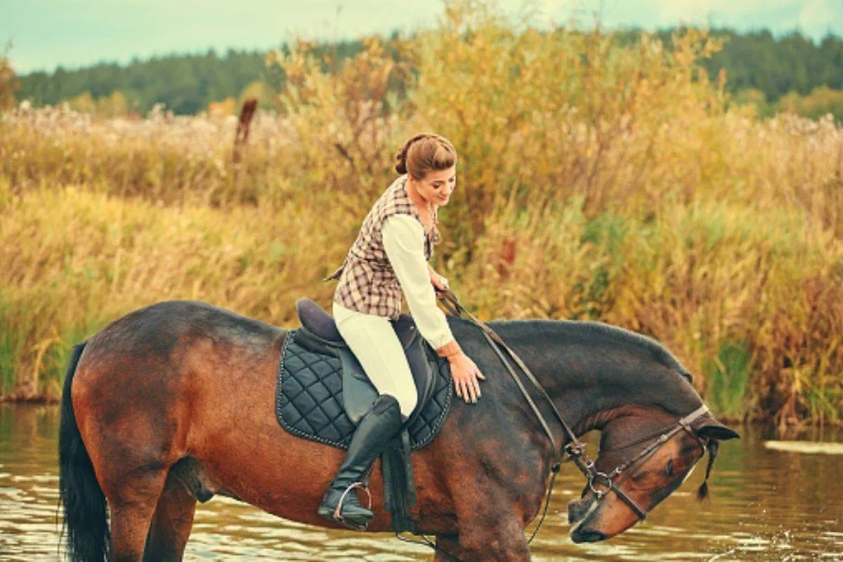 ركوب الخيل