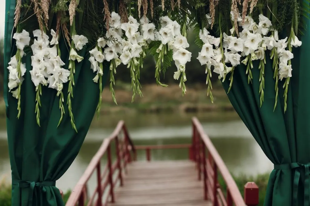 ستائر خضراء اللون، حيث ممرّ العروسين