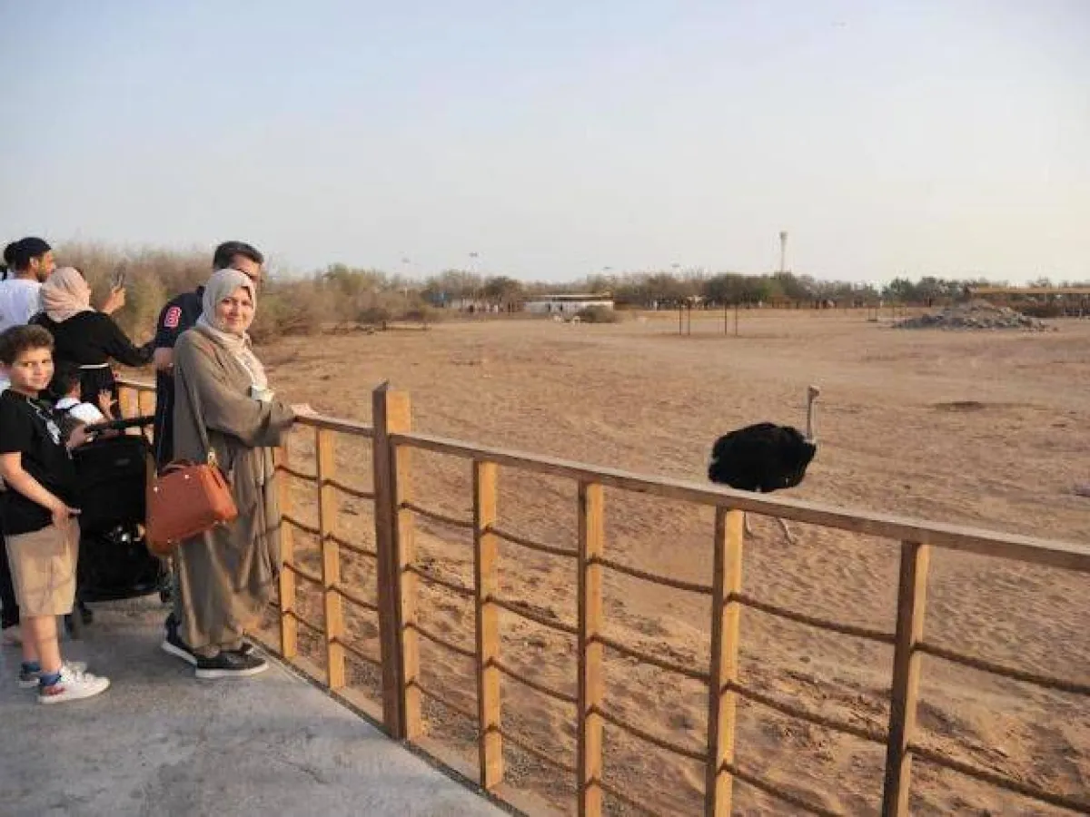 ممشى الغابة