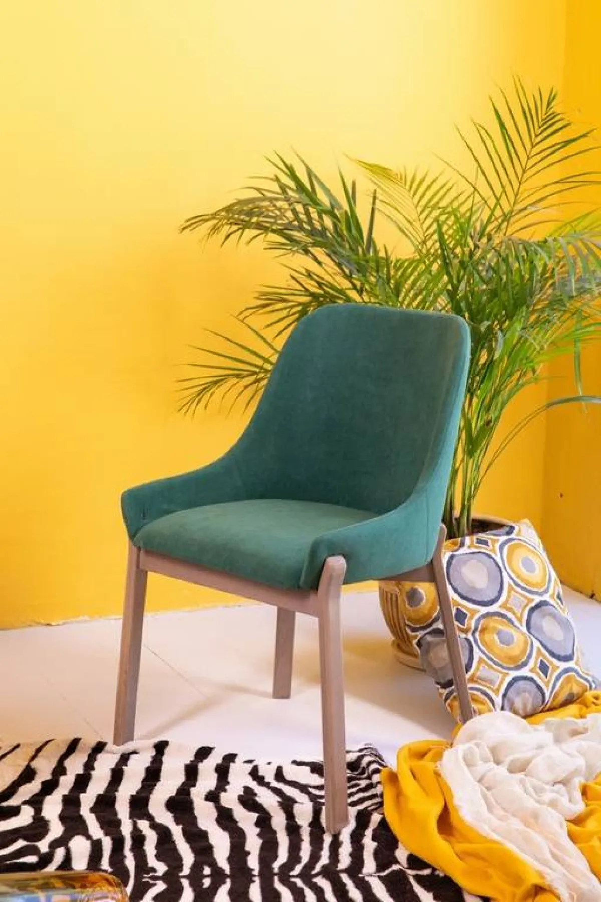 الأصفر لون بارز في المجالس المغربيّة التقليديّة