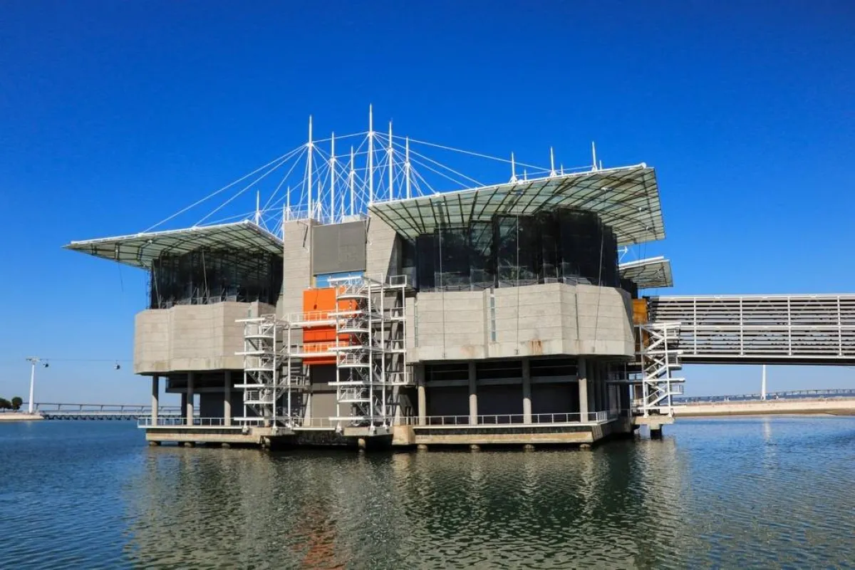 حوض الأسماك في لشبونة