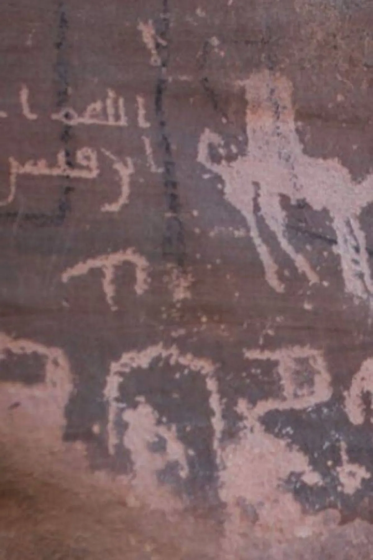 صورة تظهر نقوش تاريخية مصدر الصورة موقع نيوم