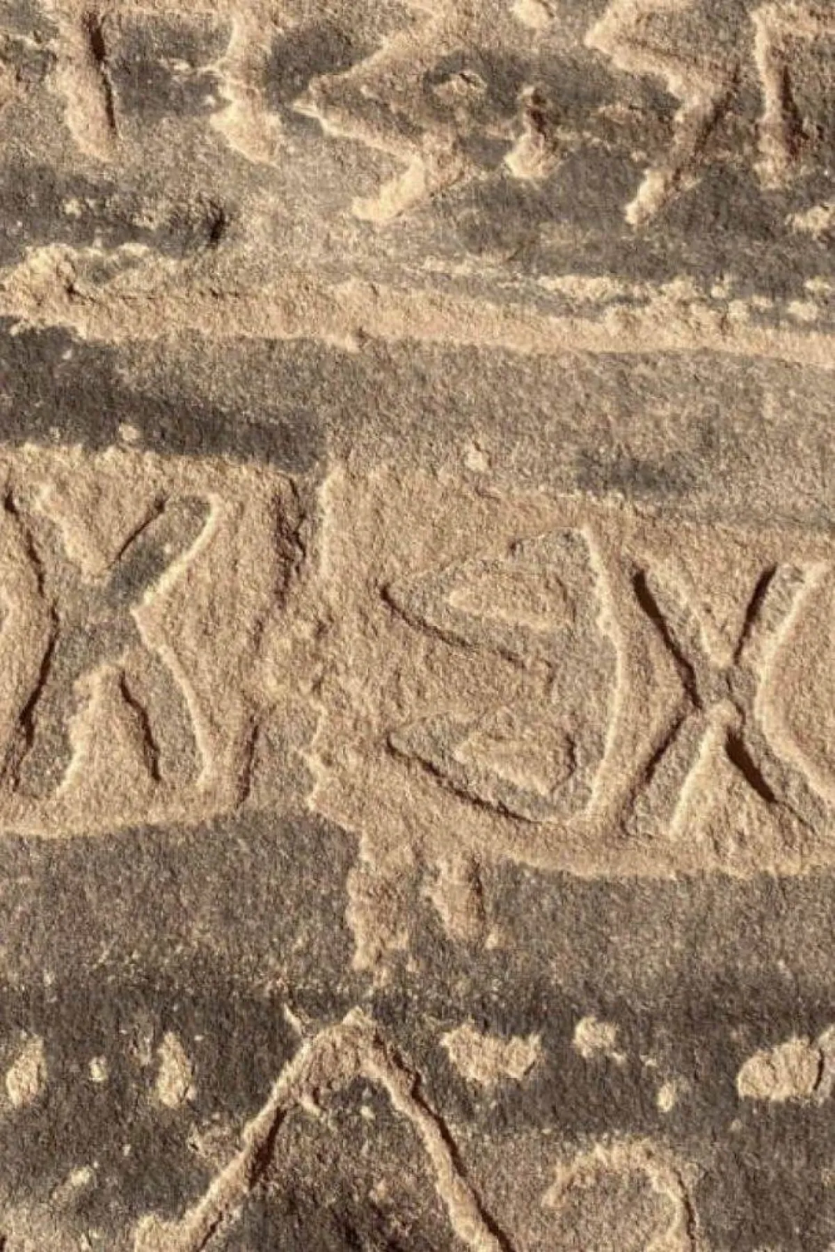 صورة تظهر نقوش تاريخية مصدر الصورة موقع نيوم