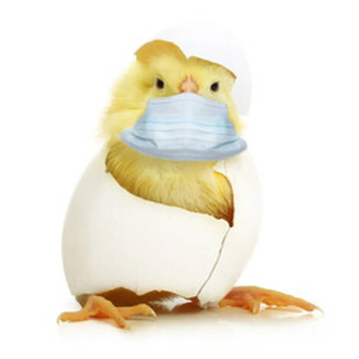 صورة تعبيرية لمولود في كورونا