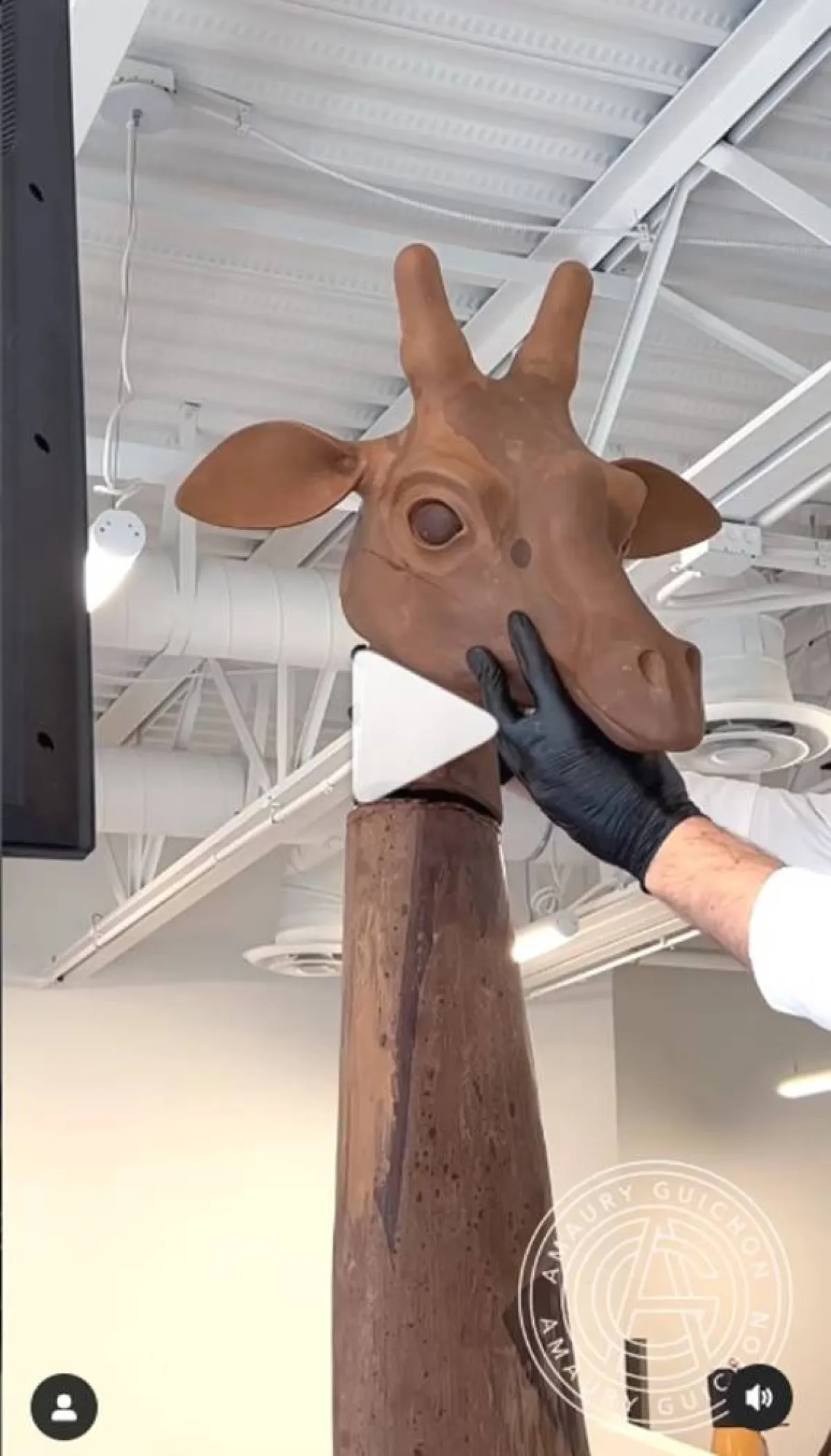 شيف فرنسي يصنع زرافة من الشوكولاتة.. ارتفاعها يتجاوز المترين