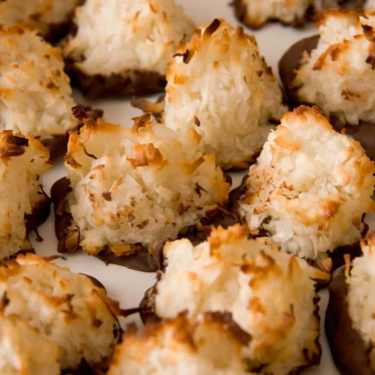  اليوم الدولي للمعكرون