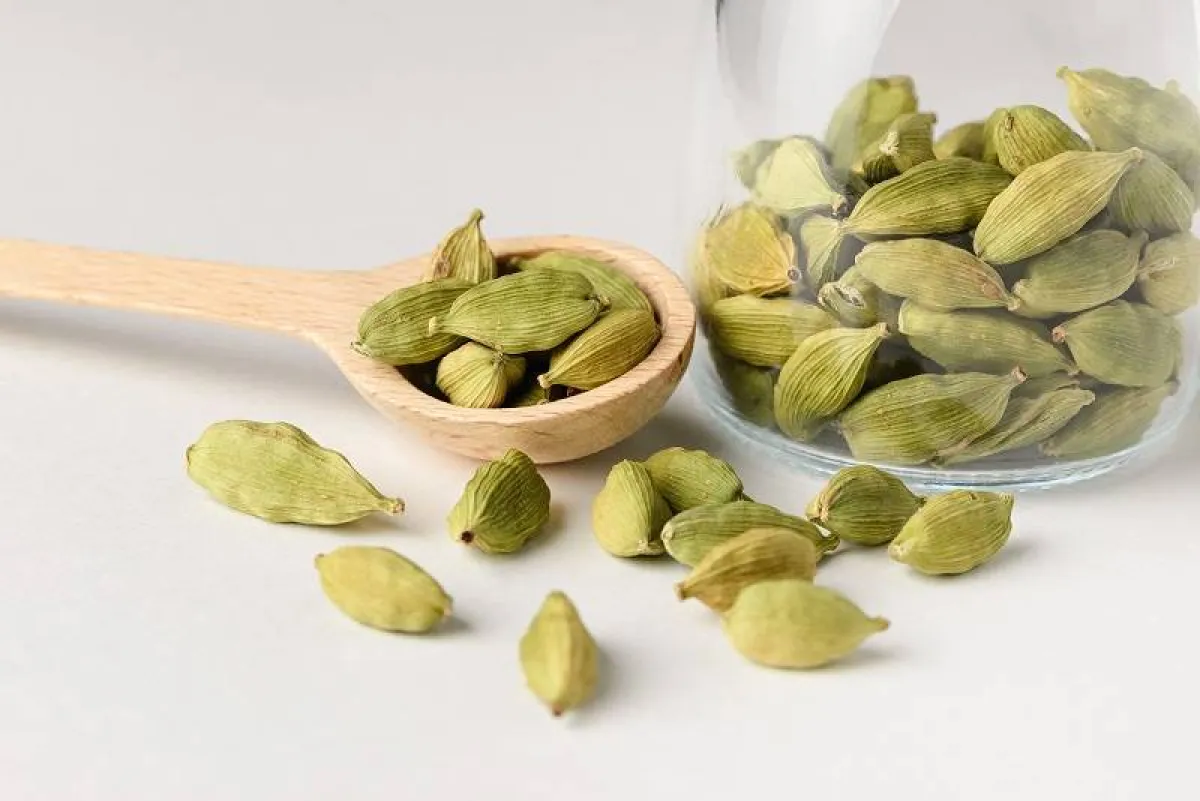 العناية بالشعر