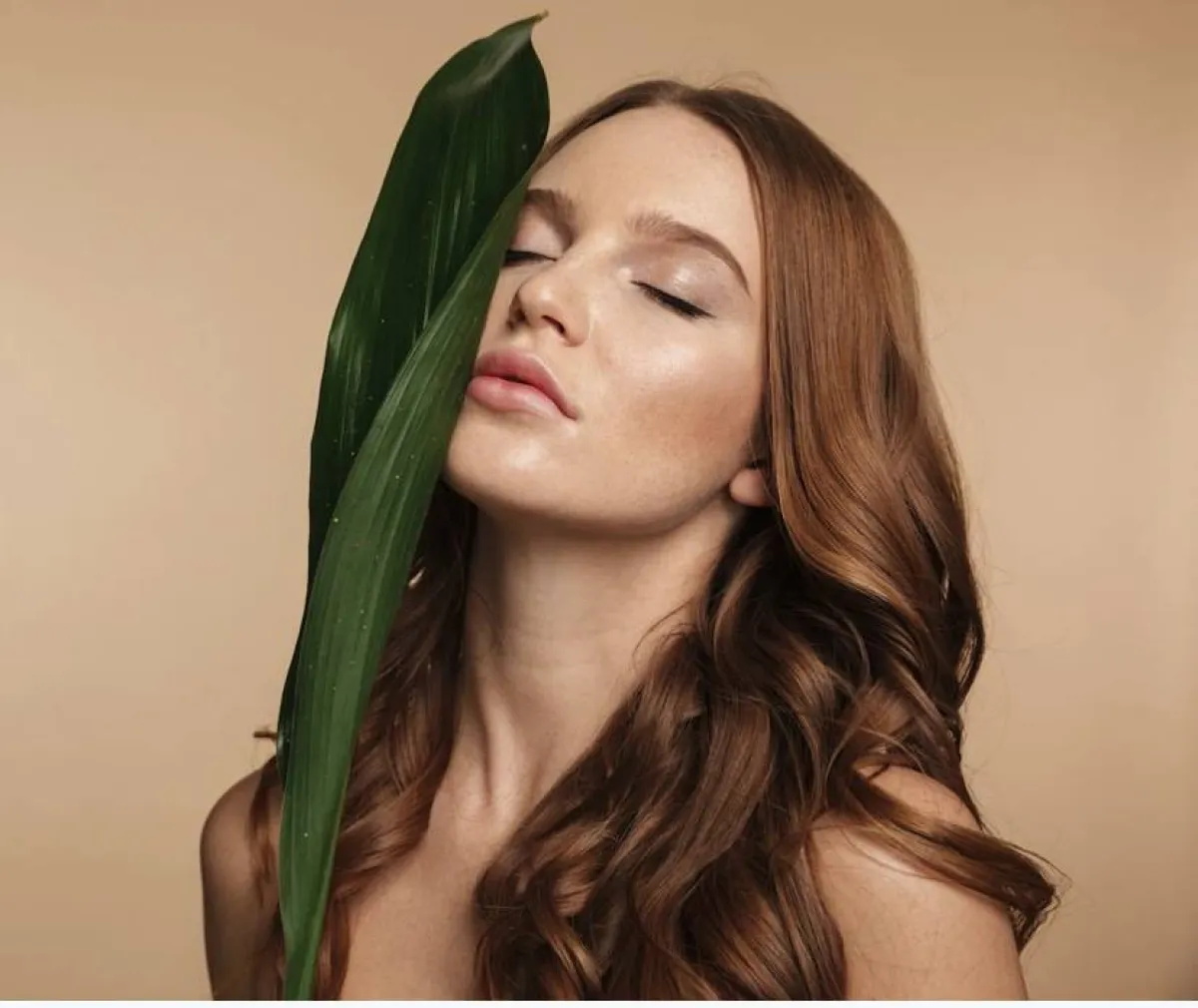 عشبة الكتم وفوائدها