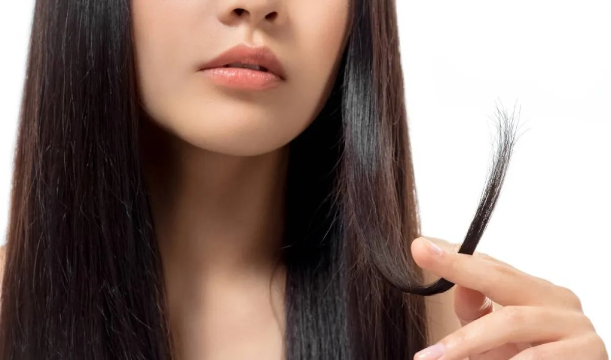 علاج تقصف الشعر