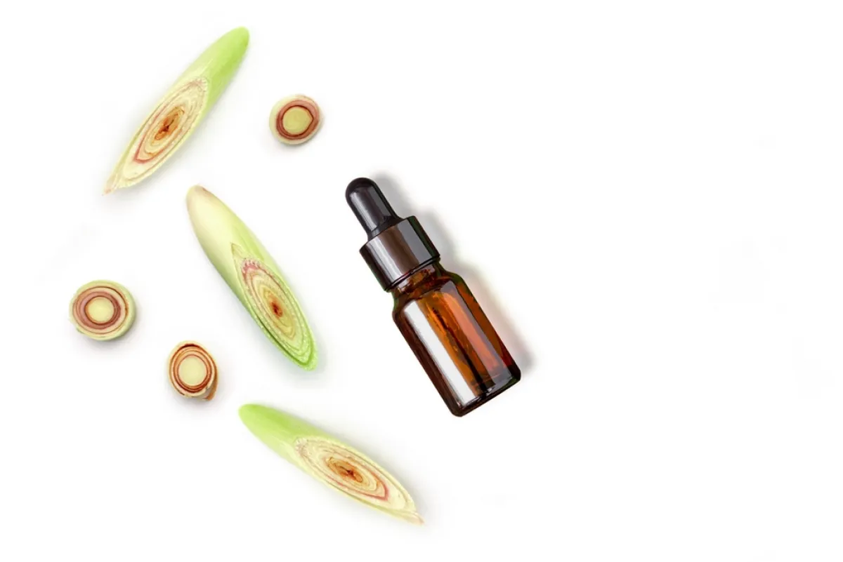 رائحة زيت عشبة الليمون الأساسي تنفّر الحشرات