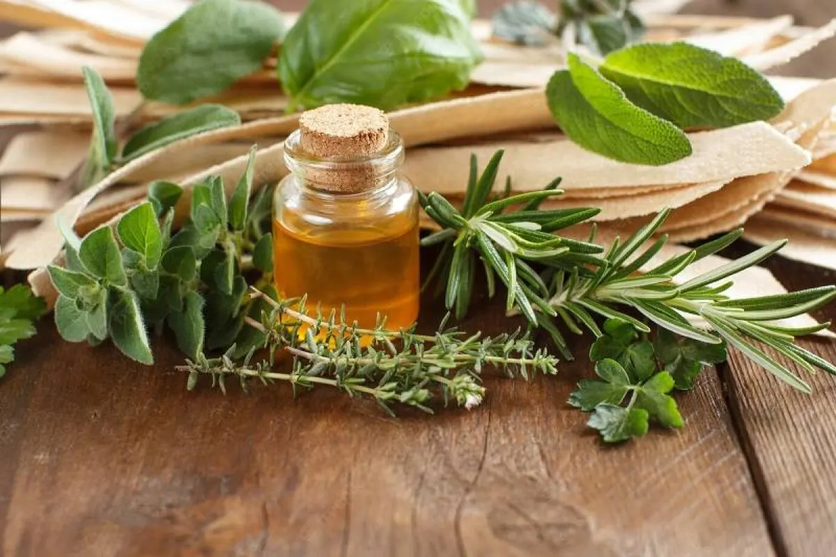 زيت الأوريجانو للعناية بالشعر