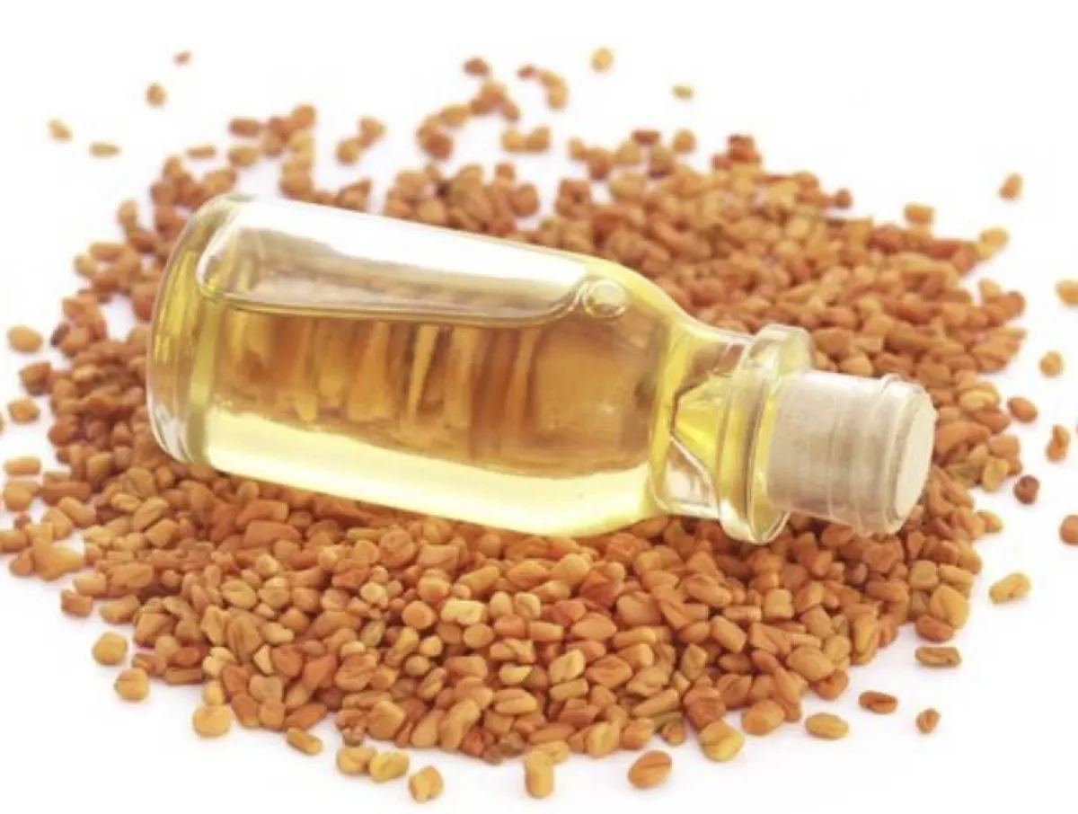 خلطات الحلبة