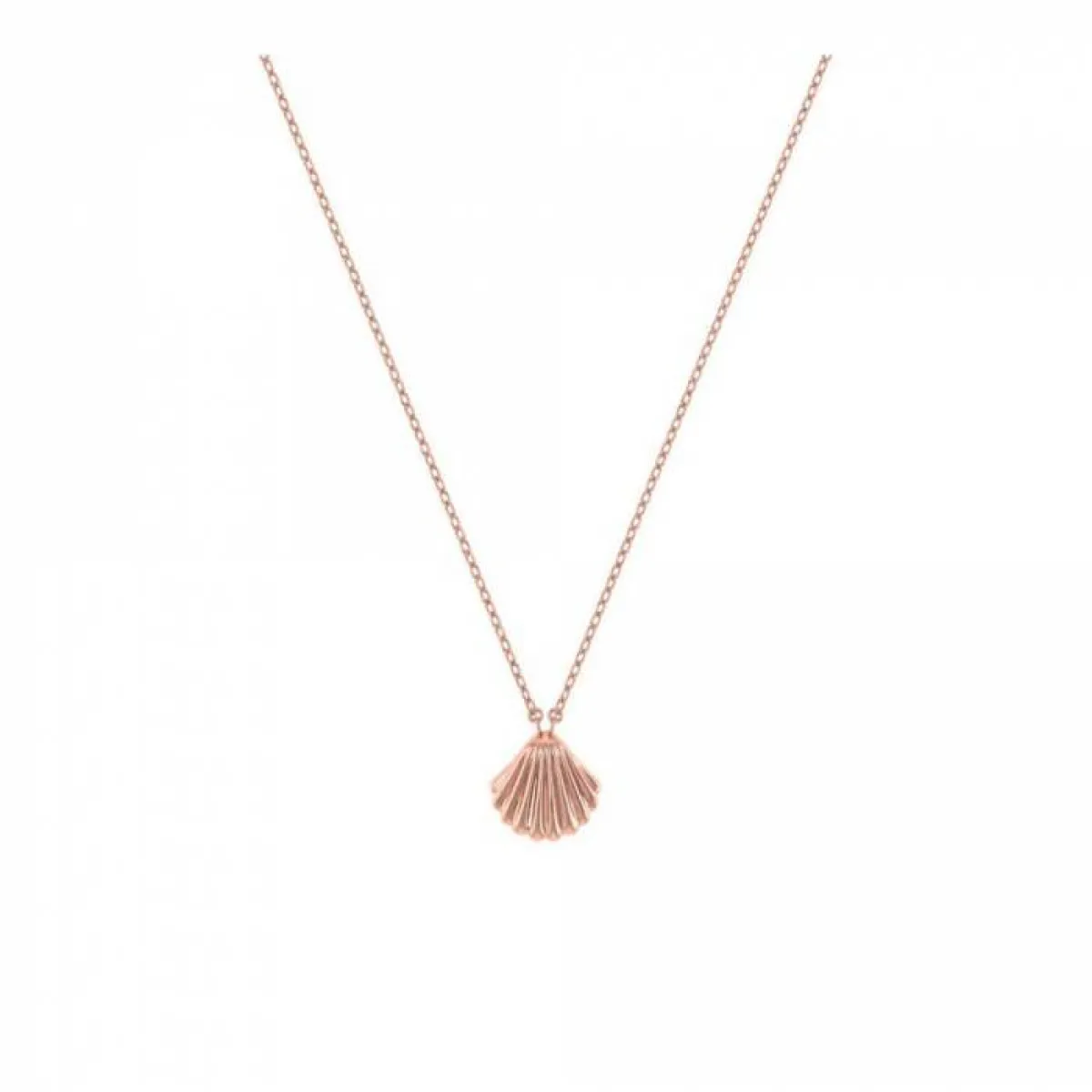 قلادة Seashell من لازوردي Lazurde  