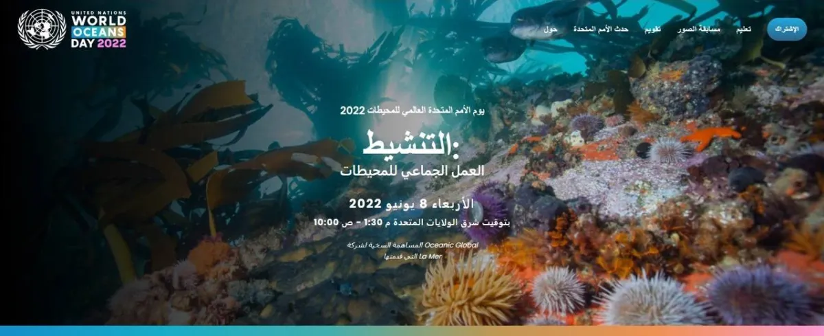 اليوم العالمي للمحيطات (التنشيط: العمل الجماعي للمحيطات) 