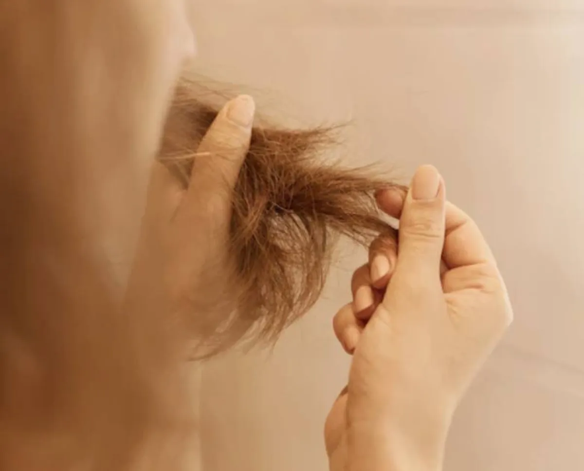 الشعر الجاف