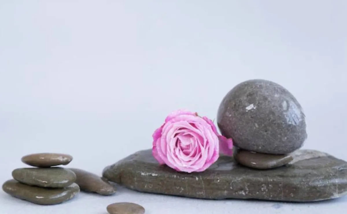 ماء الزهر والنشأ