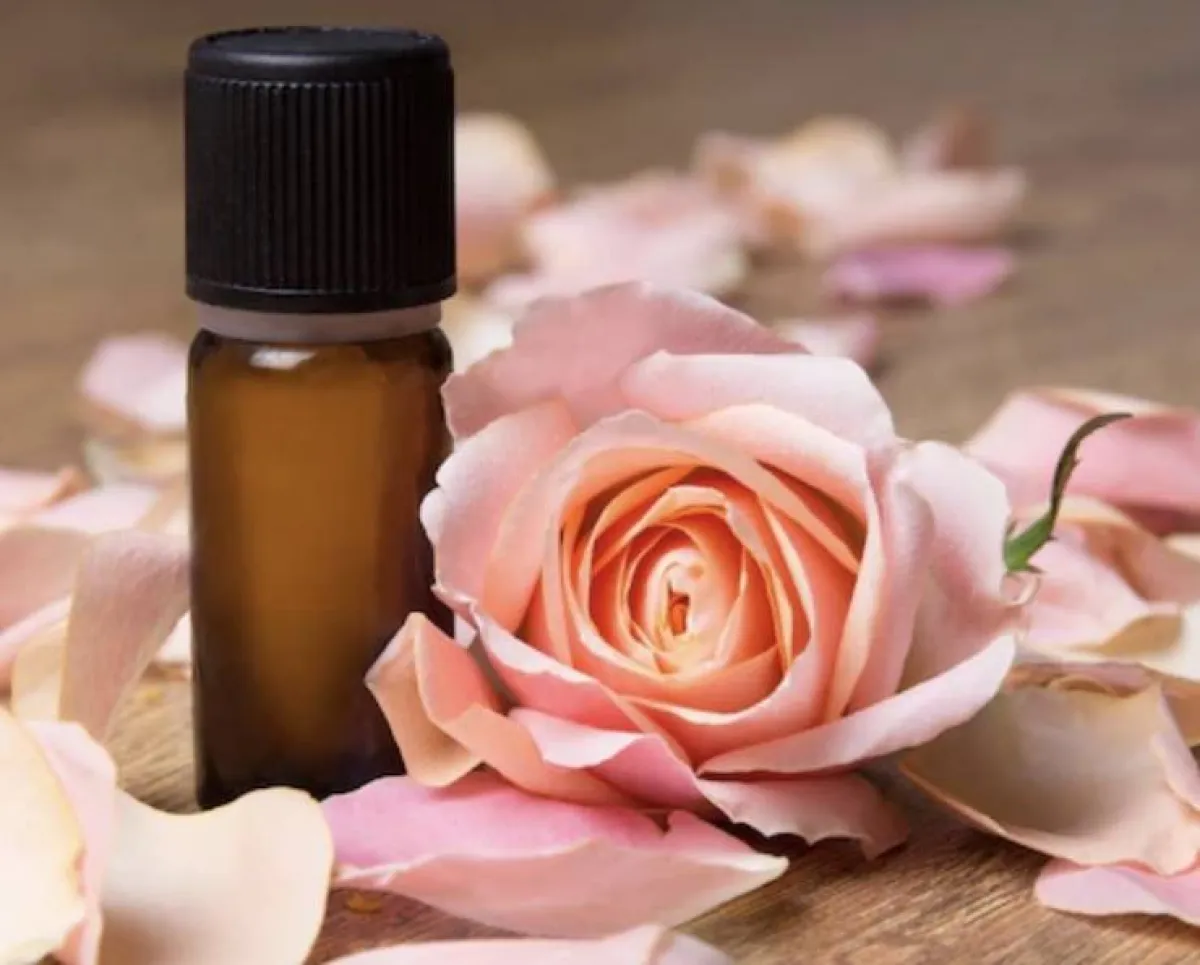 ماء الزهر والنشأ