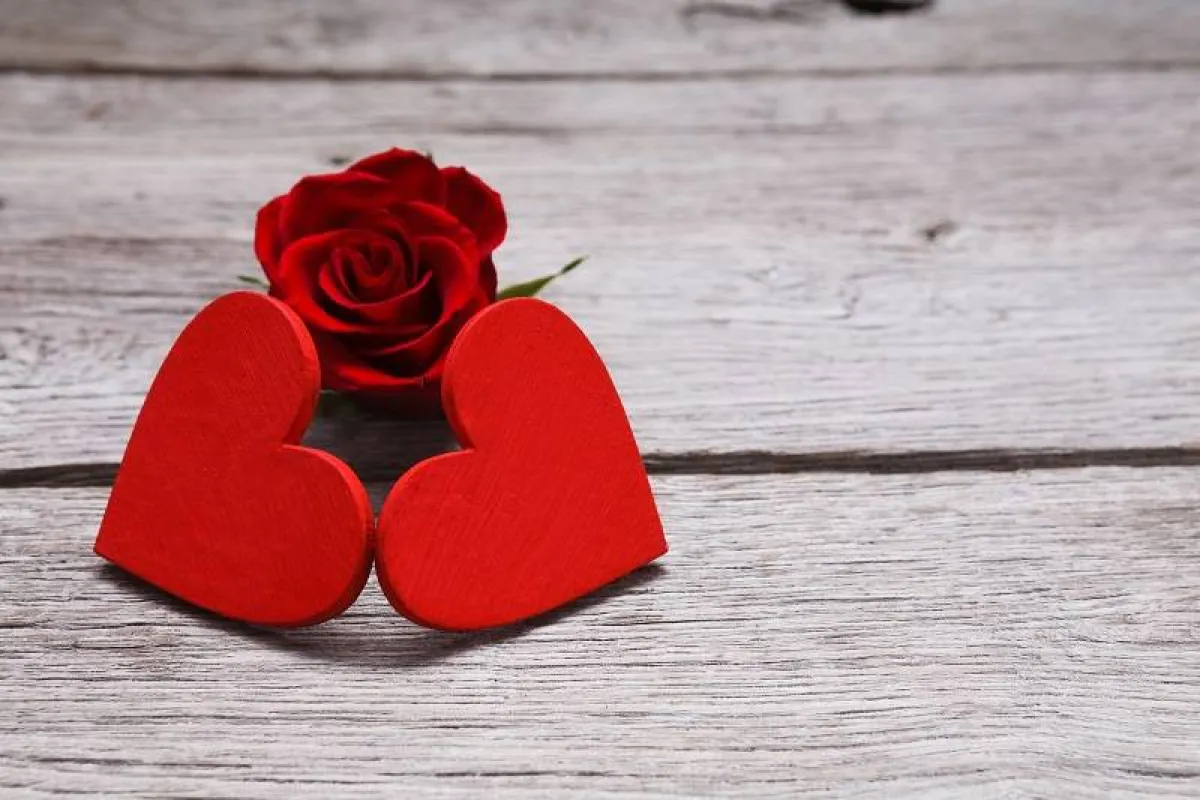 توقعات برج الأسد 2022