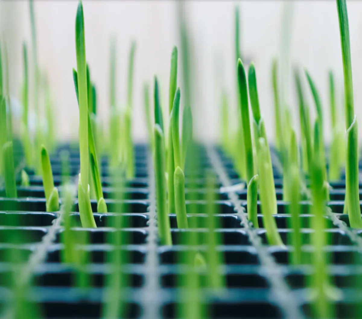 إطلاق برنامج أبوظبي للجينوم الزراعي - الصورة من مكتب أبوظبي الإعلامي