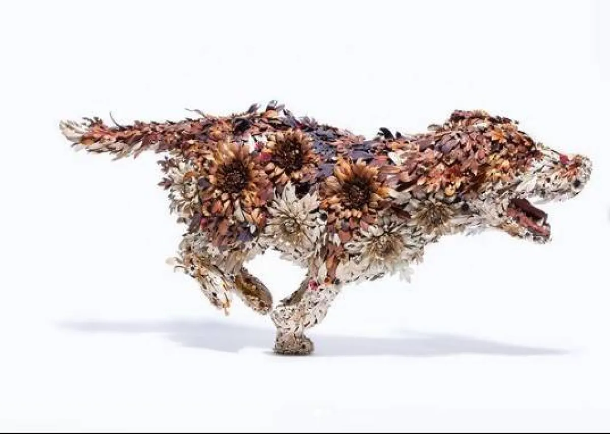 حيوانات  تايشيرو يوشيدا