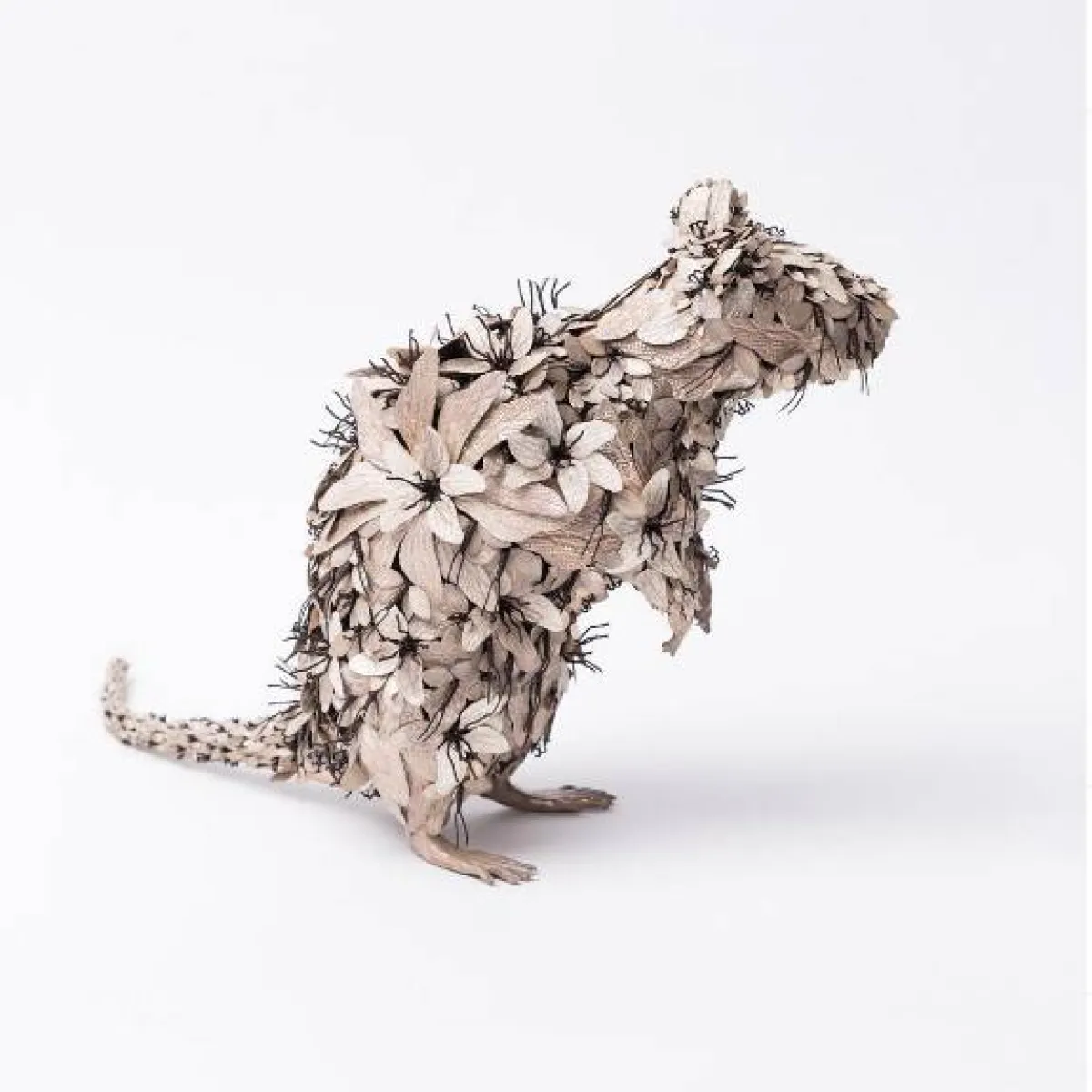 حيوانات  تايشيرو يوشيدا