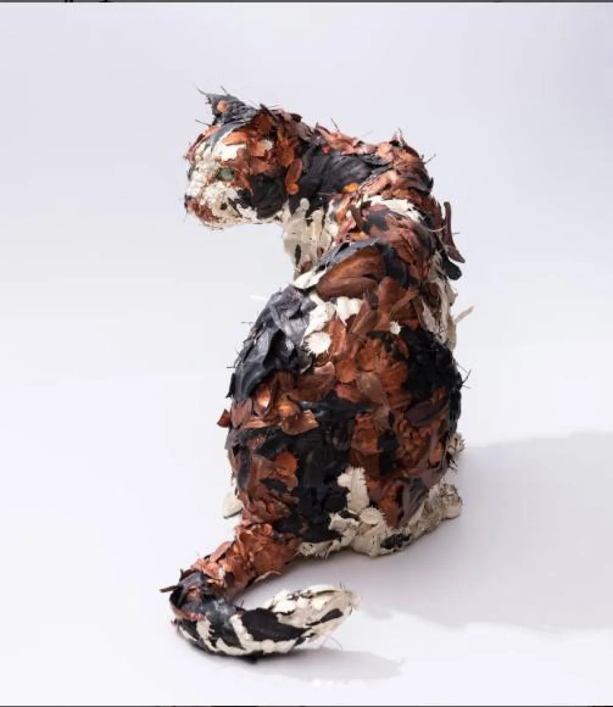 حيوانات  تايشيرو يوشيدا