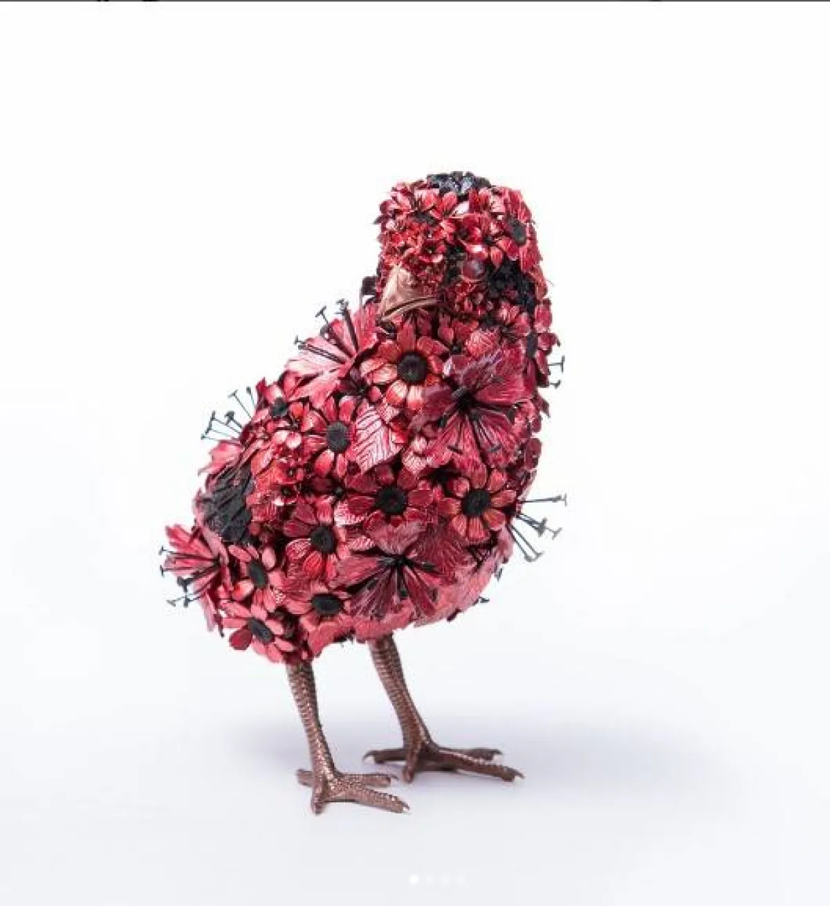 حيوانات  تايشيرو يوشيدا