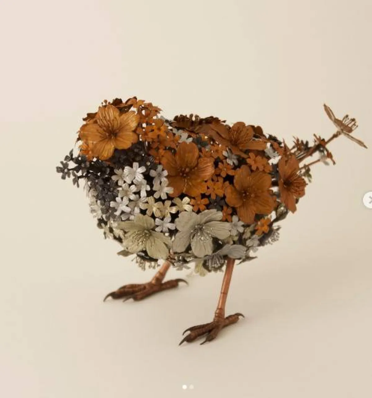 حيوانات  تايشيرو يوشيدا