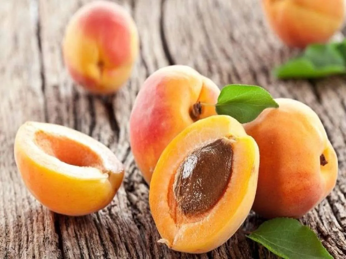 صورة لبعض حبات المشمش