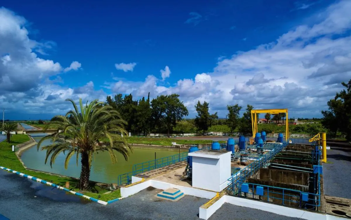 حماية النظم الإيكولوجية البرّية. الصورة من "وام"