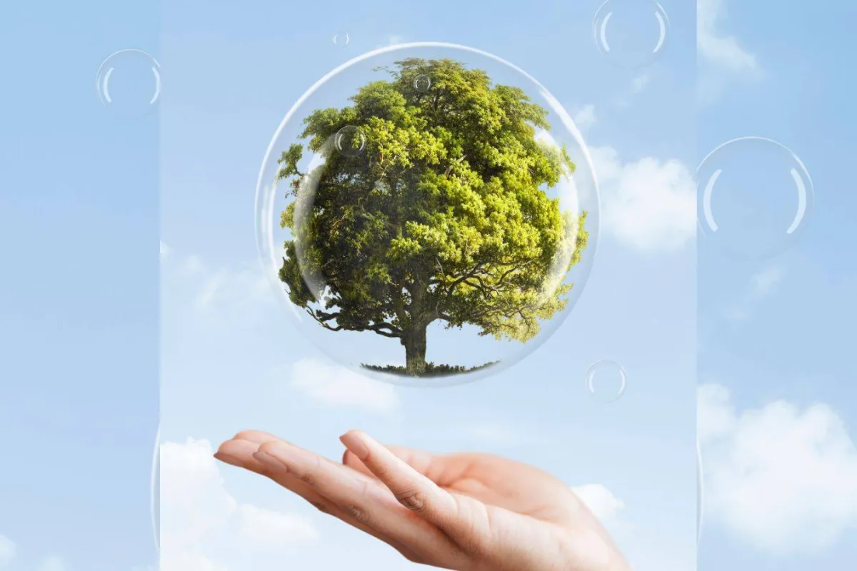 اليوم العالمي للبيئة 