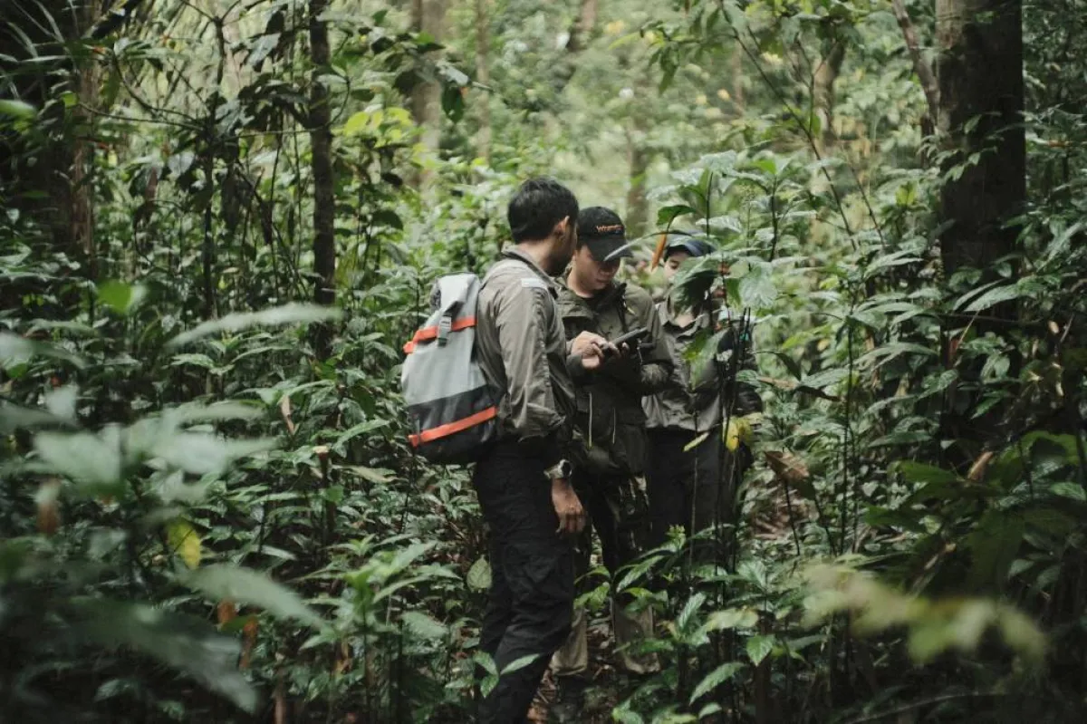  شراكات استراتيجية لتعزيز الاستدامة وحماية البيئة. الصورة من "وام"