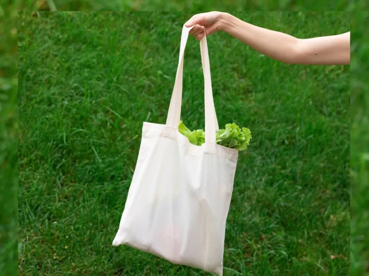 اليوم العالمي لسلامة الأغذية