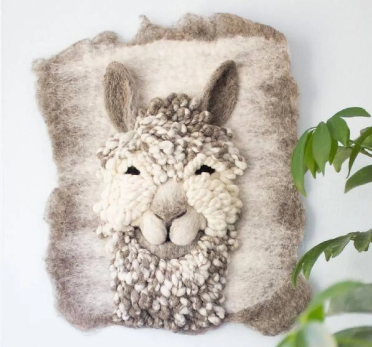 منسوجات هولي جورتين من الفراء