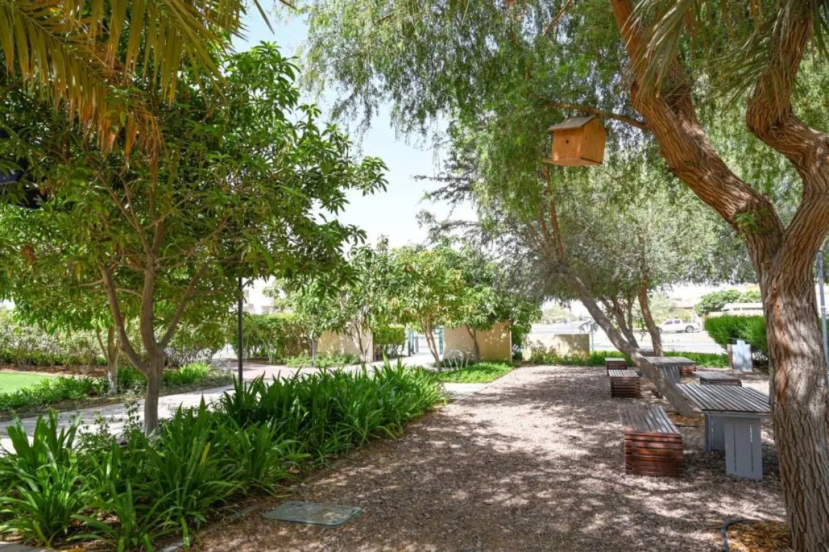 بيوت للطيور علقت على الأشجار. الصورة من "وام"