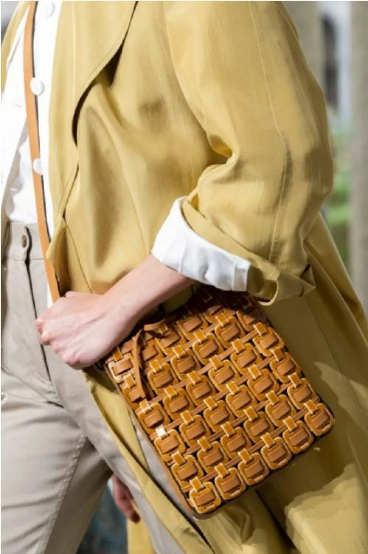 حقيبة من ألبيرتا فيريتي  Alberta Ferretti