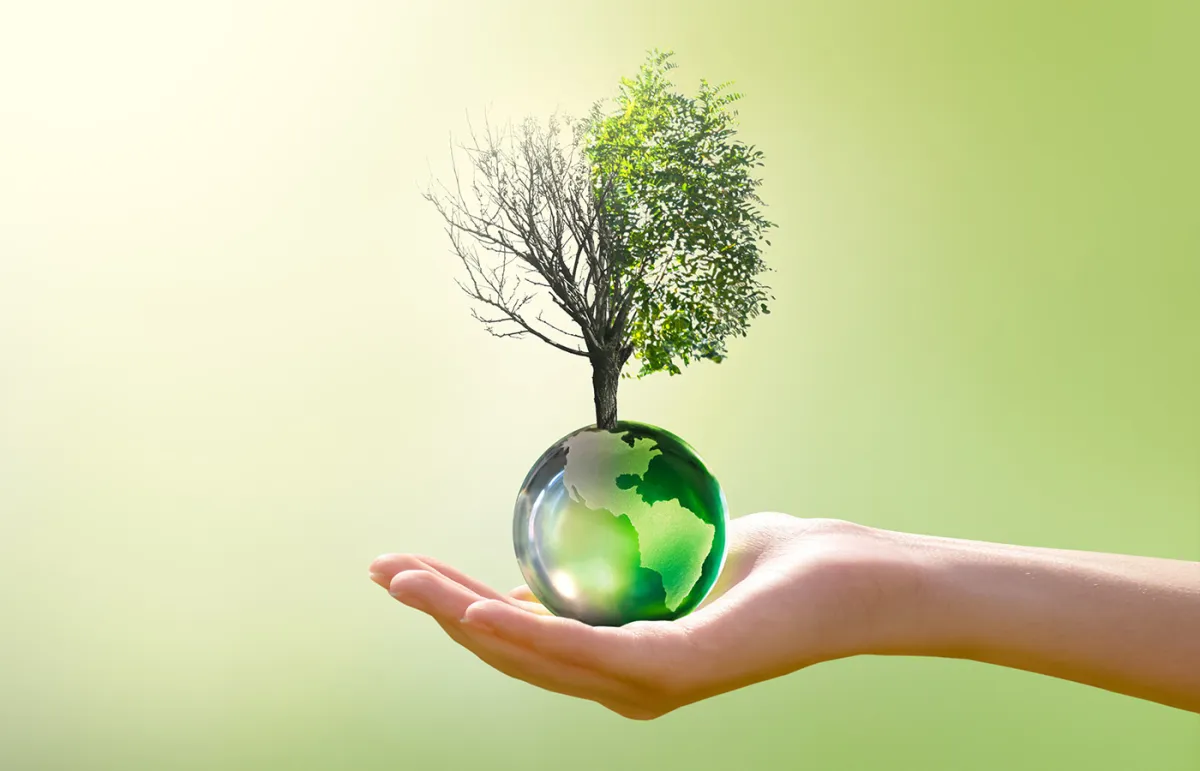 اليوم العالمي لمكافحة التصحر والجفاف   