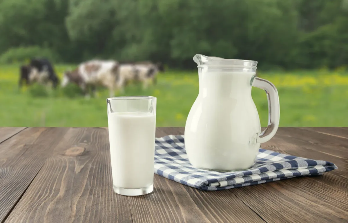 أهم فوائد الحليب... غير متوقعة