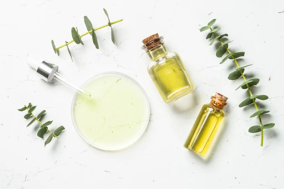 زيت الأوكالبتوس الأساسي